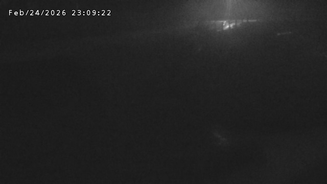 加茂川３2026/02/25 2:40:00