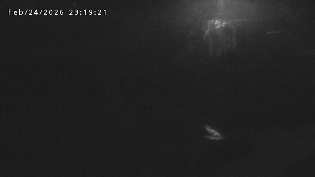 加茂川３2026/02/25 2:40:00