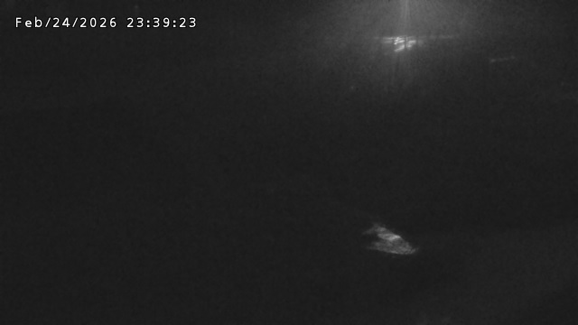 加茂川３2026/02/25 2:40:00