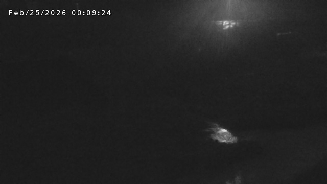 加茂川３2026/02/25 2:40:00