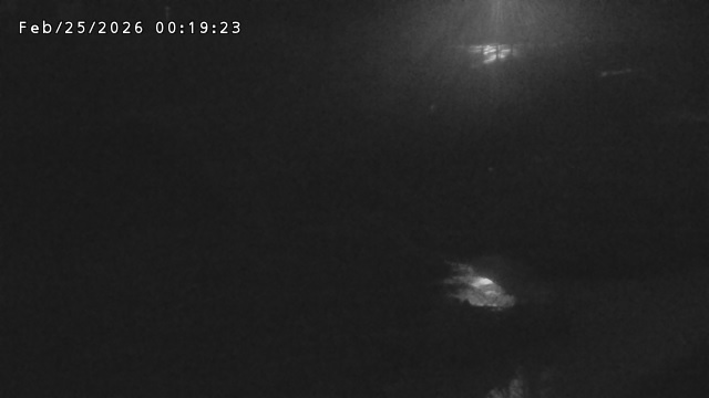 加茂川３2026/02/25 2:40:00