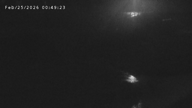 加茂川３2026/02/25 2:40:00