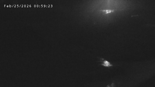 加茂川３2026/02/25 2:40:00