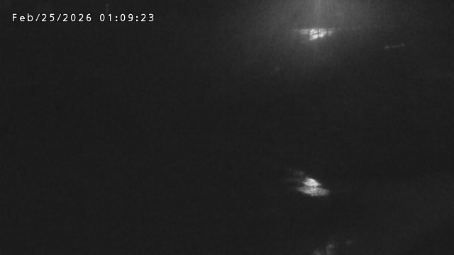 加茂川３2026/02/25 2:40:00