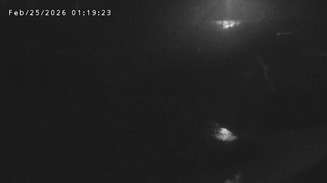 加茂川３2026/02/25 2:40:00