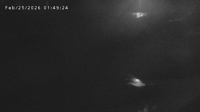 加茂川３2026/02/25 2:40:00