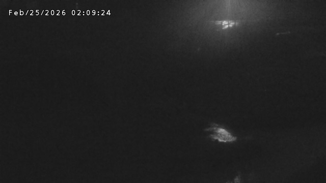 加茂川３2026/02/25 2:40:00