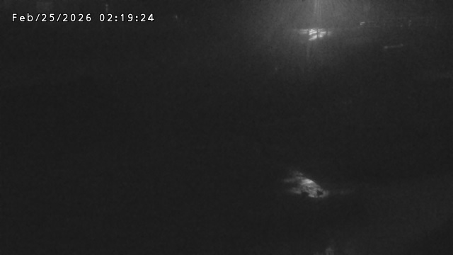 加茂川３2026/02/25 2:40:00