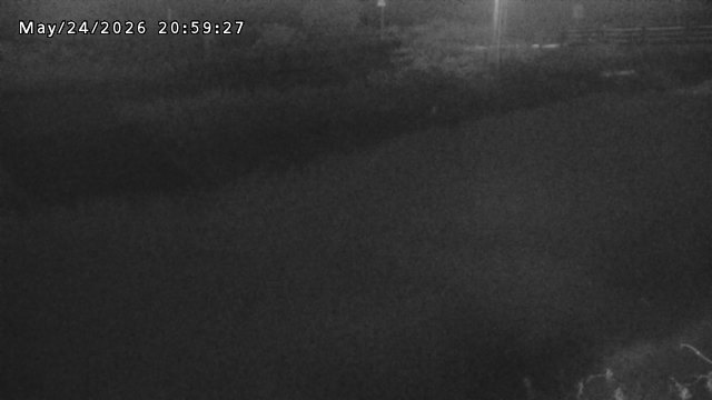 加茂川３2026/05/25 21:40:00