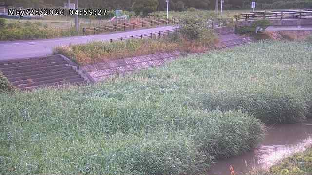 加茂川３2026/05/25 21:40:00