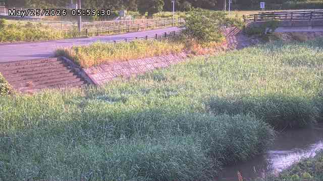 加茂川３2026/05/25 21:40:00