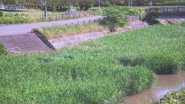 加茂川３2026/05/25 21:40:00