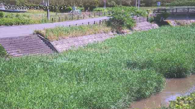 加茂川３2026/05/25 21:40:00