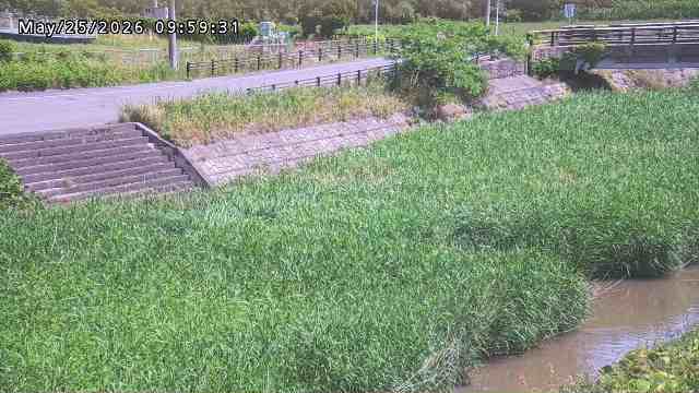 加茂川３2026/05/25 21:40:00