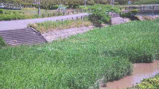 加茂川３2026/05/25 21:40:00