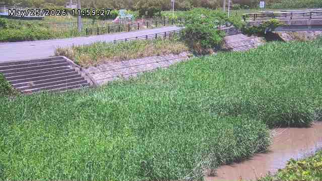 加茂川３2026/05/25 21:40:00