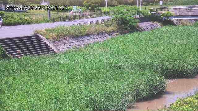 加茂川３2026/05/25 21:40:00