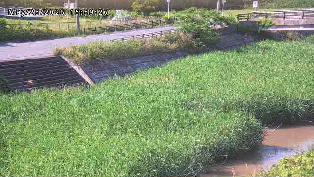 加茂川３2026/05/25 21:40:00