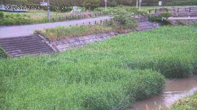 加茂川３2026/05/25 21:40:00
