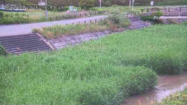 加茂川３2026/05/25 21:40:00
