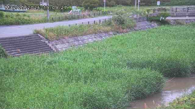 加茂川３2026/05/25 21:40:00