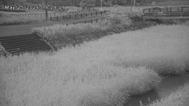 加茂川３2026/05/25 21:40:00