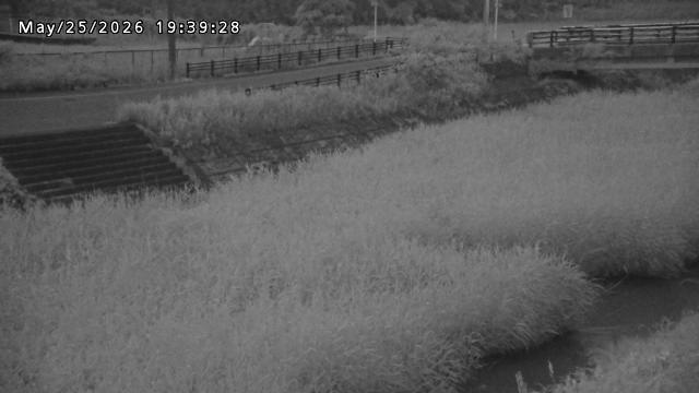 加茂川３2026/05/25 21:40:00