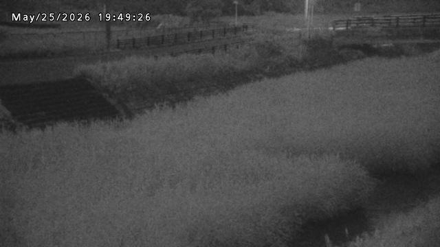 加茂川３2026/05/25 21:40:00