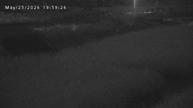 加茂川３2026/05/25 21:40:00