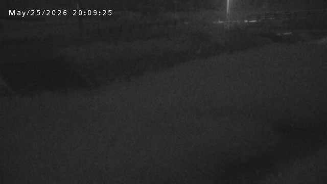 加茂川３2026/05/25 21:40:00