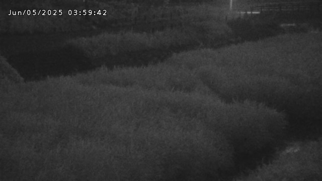 加茂川３2025/06/06 1:30:00