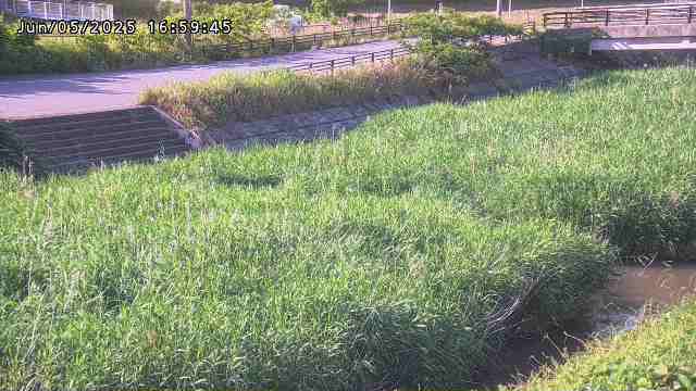 加茂川３2025/06/06 1:30:00