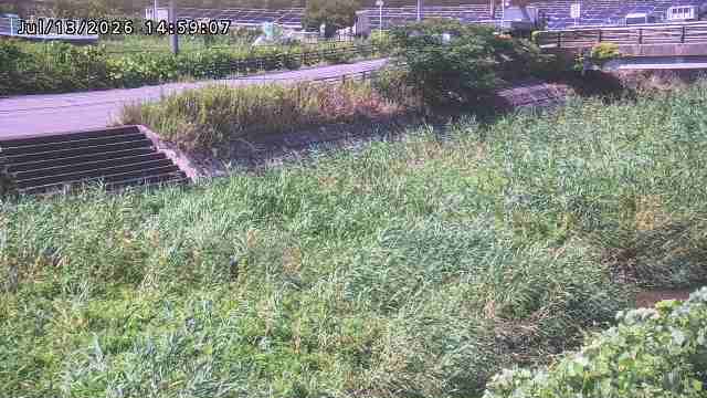 加茂川３2026/07/14 15:20:00