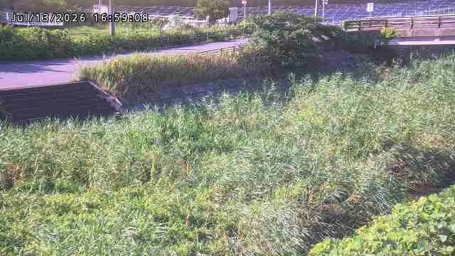 加茂川３2026/07/14 15:20:00