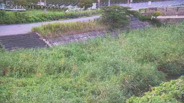 加茂川３2026/07/14 15:20:00