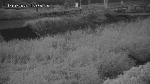 加茂川３2026/07/14 15:20:00