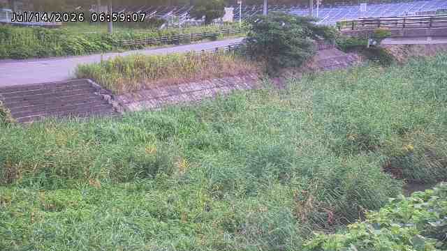 加茂川３2026/07/14 15:20:00