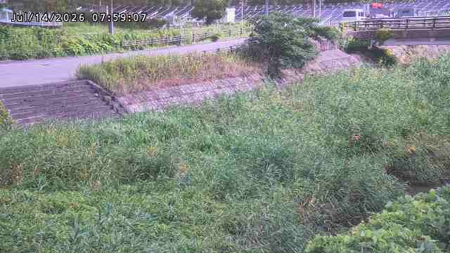 加茂川３2026/07/14 15:20:00