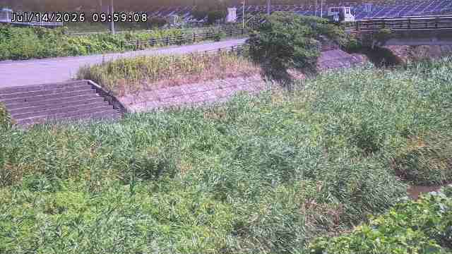 加茂川３2026/07/14 15:20:00