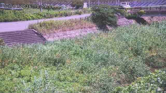 加茂川３2026/07/14 15:20:00
