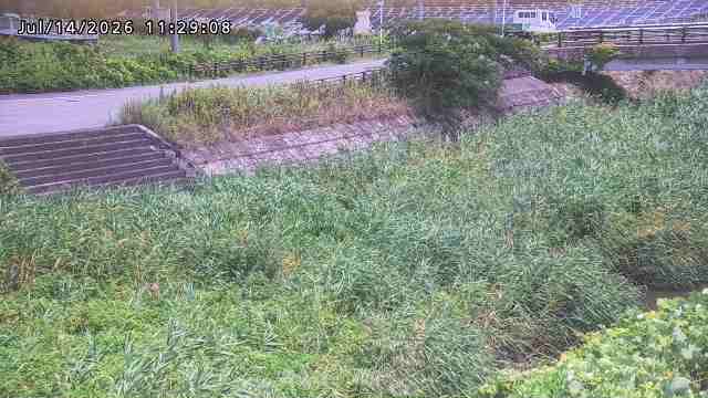 加茂川３2026/07/14 15:20:00