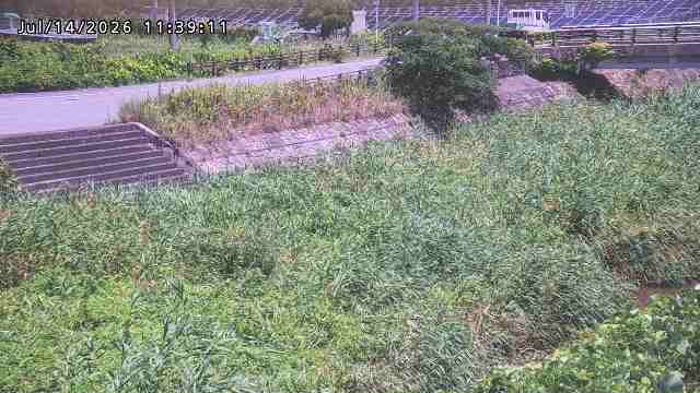 加茂川３2026/07/14 15:20:00