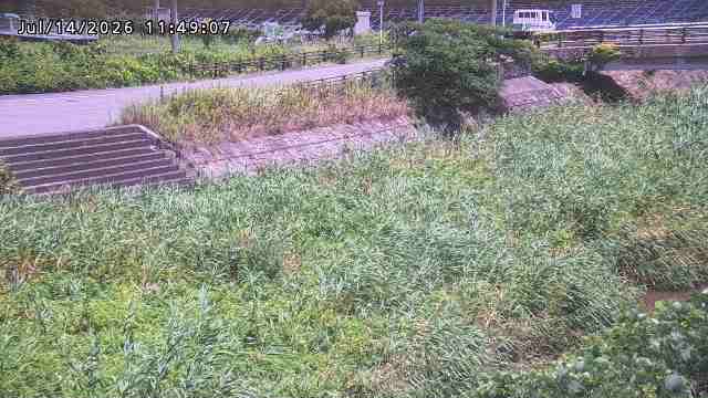 加茂川３2026/07/14 15:20:00