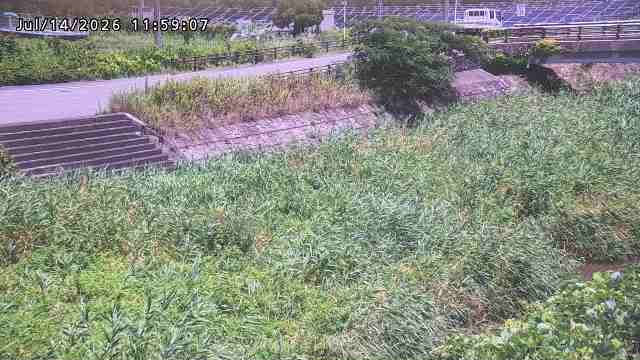 加茂川３2026/07/14 15:20:00