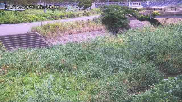 加茂川３2026/07/14 15:20:00