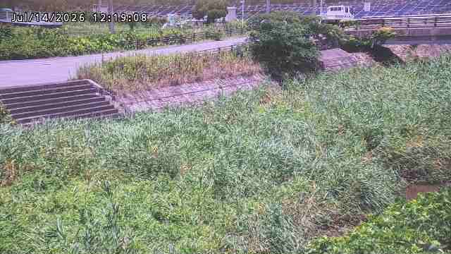 加茂川３2026/07/14 15:20:00