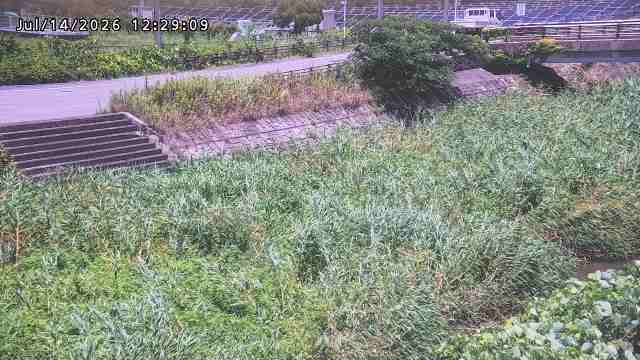加茂川３2026/07/14 15:20:00