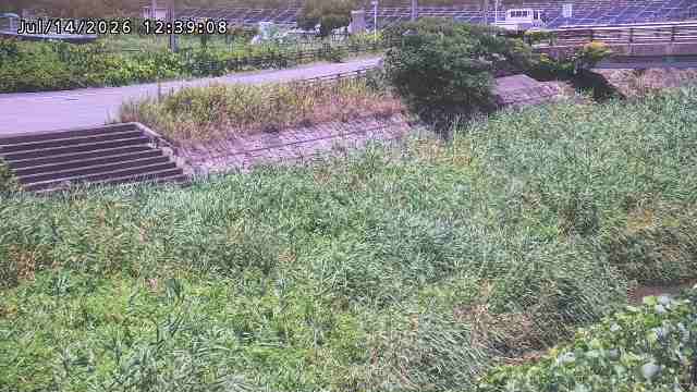 加茂川３2026/07/14 15:20:00