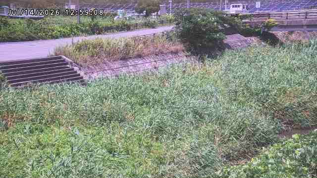 加茂川３2026/07/14 15:20:00