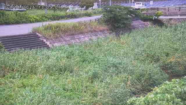 加茂川３2026/07/14 15:20:00
